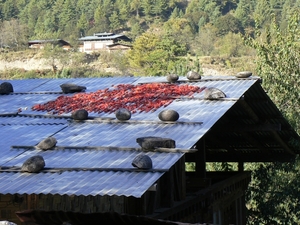 Bhutan