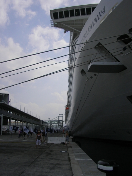 deel 2 MSC cruise 256