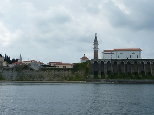 P1010228