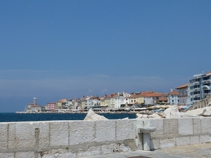 P1010260
