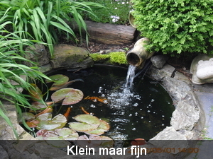 tuin vijver