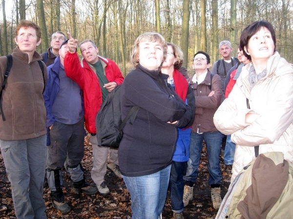 Dagwandeling 21 11 09 Lichtaart kasterlee lichtaart 007