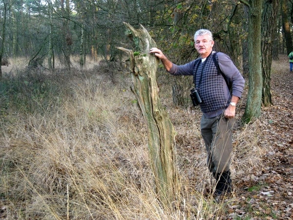 Dagwandeling 21 11 09 Lichtaart kasterlee lichtaart 018