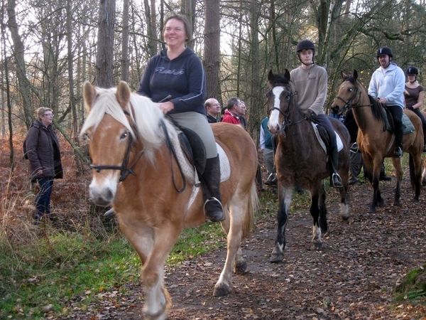 Dagwandeling 21 11 09 Lichtaart kasterlee lichtaart 019
