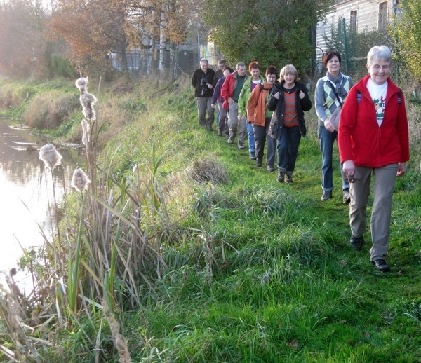 Dagwandeling 21 11 09 Lichtaart kasterlee lichtaart 033