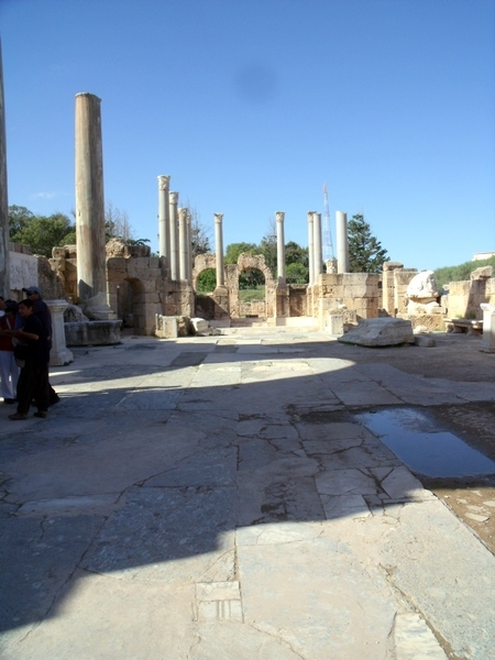 DSCF0255