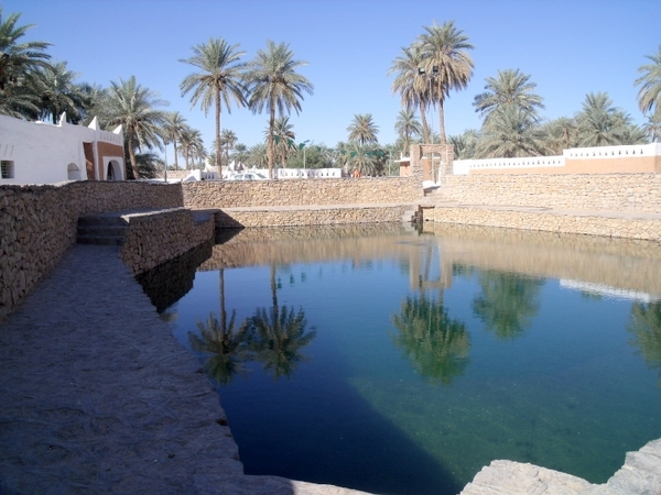 DSCF0372