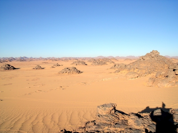 DSCF0501