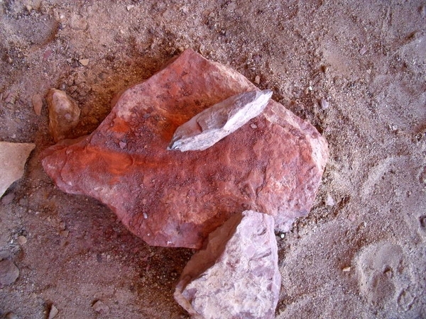 DSCF0585