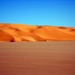 DSCF0616