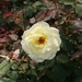 DSC00671