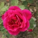 DSC00675