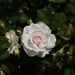 DSC00680
