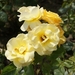 DSC00708
