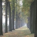 herfst 2009 wortel 034