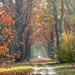 herfst 2009 wortel 054