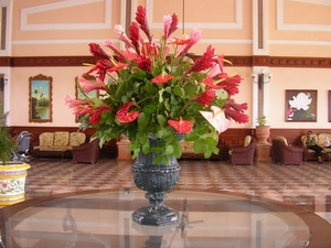 Jamaica 017