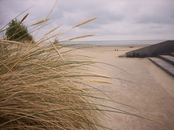 duinen