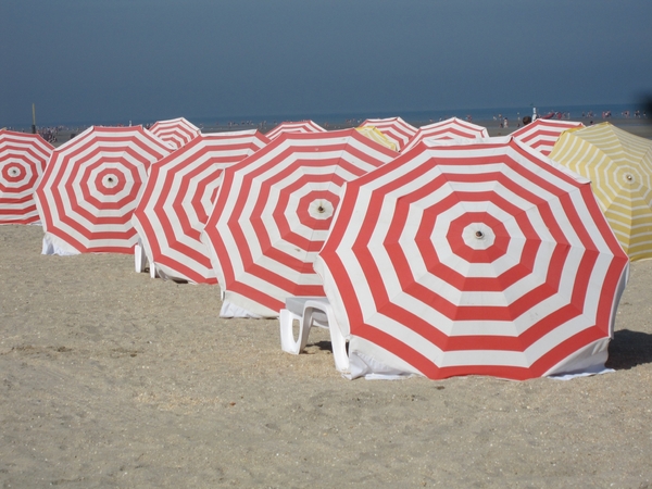 parasols