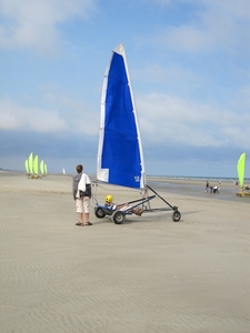 strandzeiler