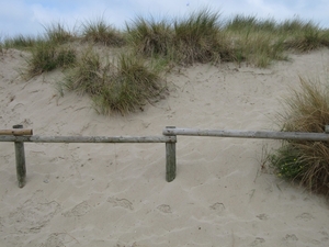 duinen