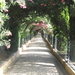 Allee naar de uitgang van het Generalife