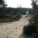 Mul zand in overvloed