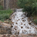 DSC00750