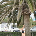 DSC00849