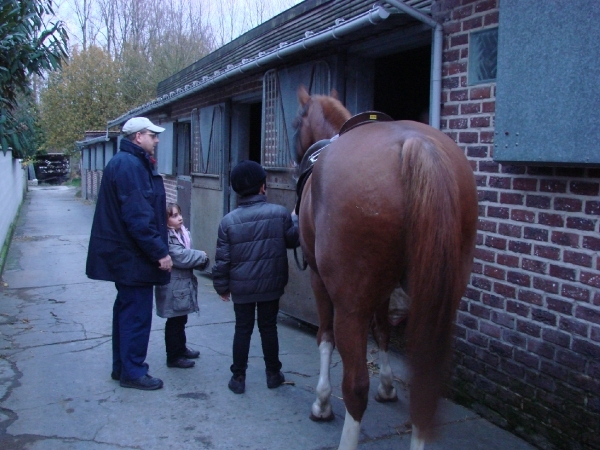 DSC06766 - afzadelen en naar de stal brengen