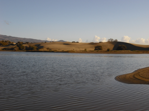 Gran Canaria Maspalomas Charco (lagune)