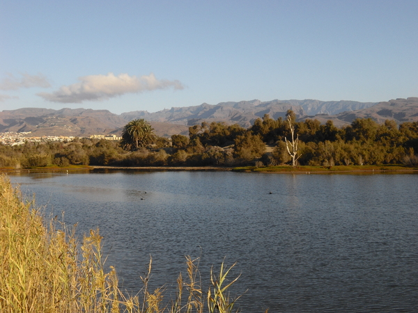 Gran Canaria Maspalomas Charco (lagune)