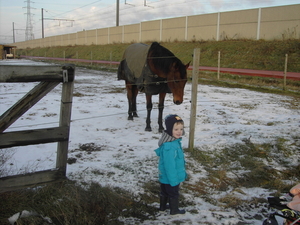 Joey met paard