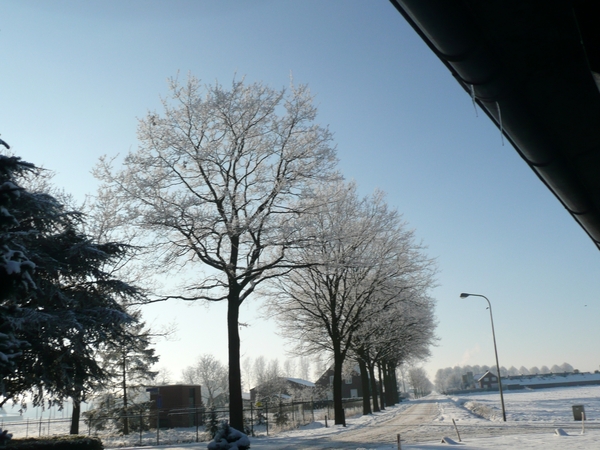 winter 2009 067