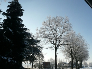 winter 2009 068