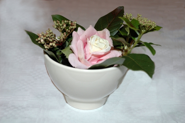 Variatie in versiering