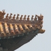china 1 156