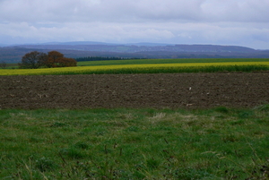 P1140620