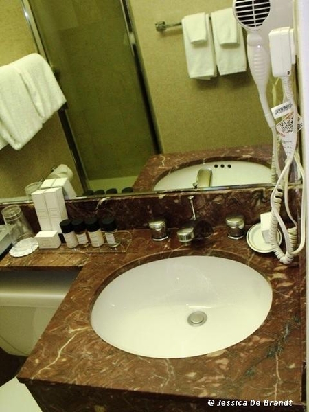 2009_11_12 NY Hotel Metro 10 badkamer