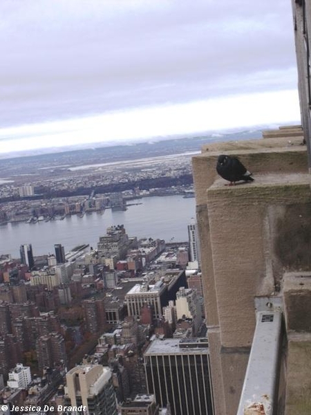 2009_11_15 NY 070J Empire State Building panorama