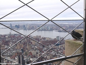 2009_11_15 NY 079J Empire State Building panorama