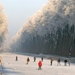 Damse vaart ( 3 )