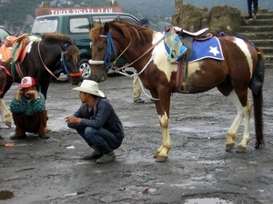 Indonesië 1 100