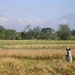 Indonesië 1 236
