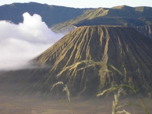 Indonesië 1 268