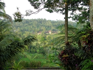 Indonesië 1 310