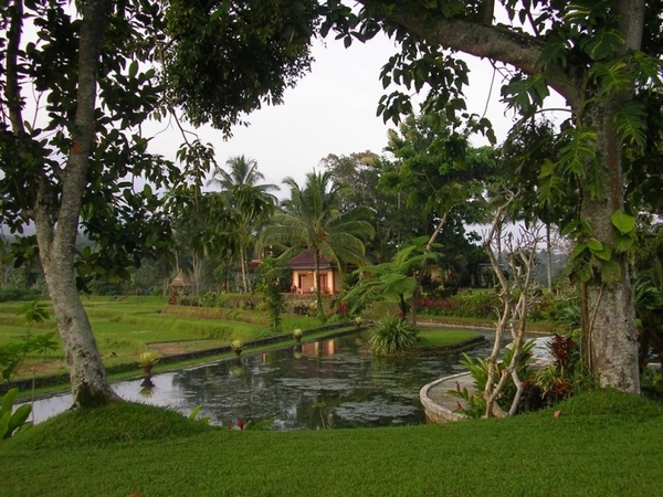 Indonesië 1 318