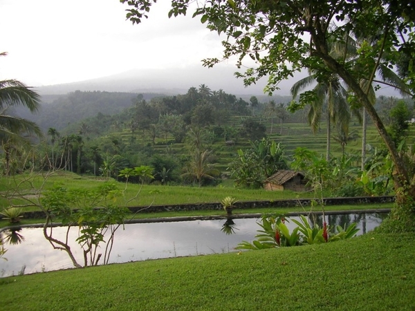 Indonesië 1 319