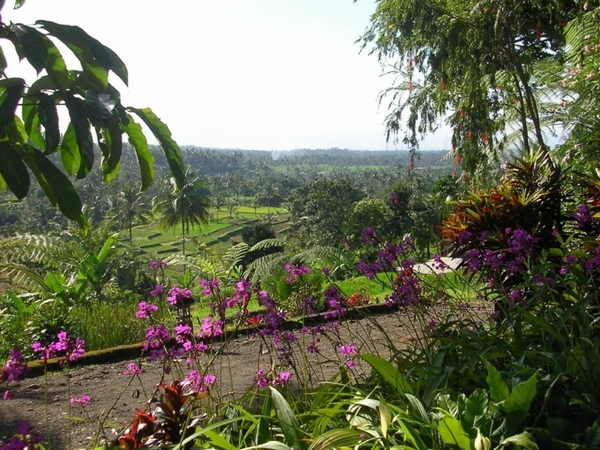 Indonesië 1 329