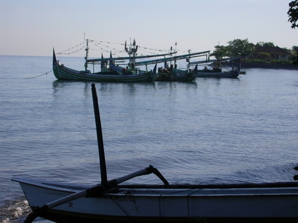 Indonesië 2 006